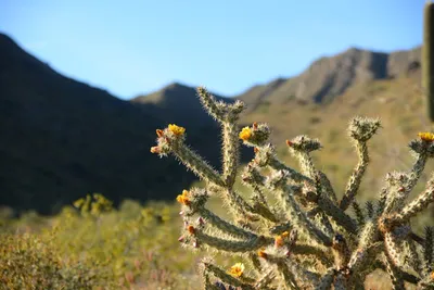 DSC_1843 (Large).JPG